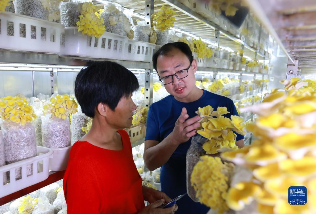 阿拉德之怒mg官网